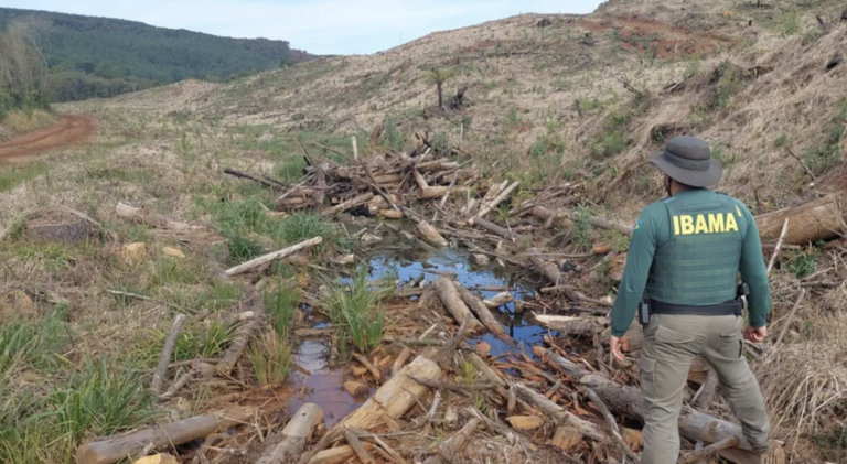 Operação do Ibama flagra desmate de vegetação nativa em Palmas