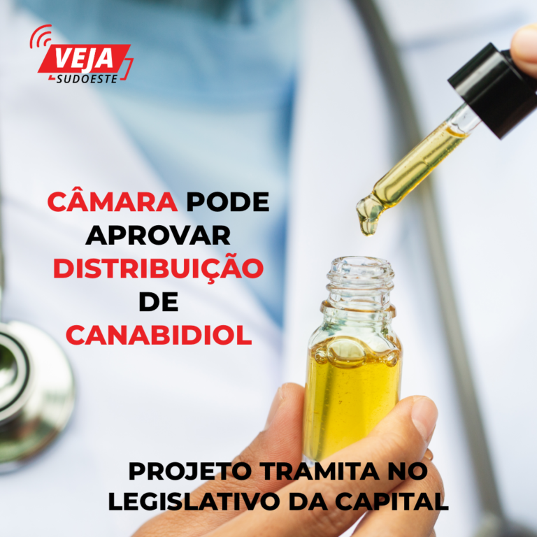 Distribuição de canabidiol vira projeto de lei na Câmara de Curitiba