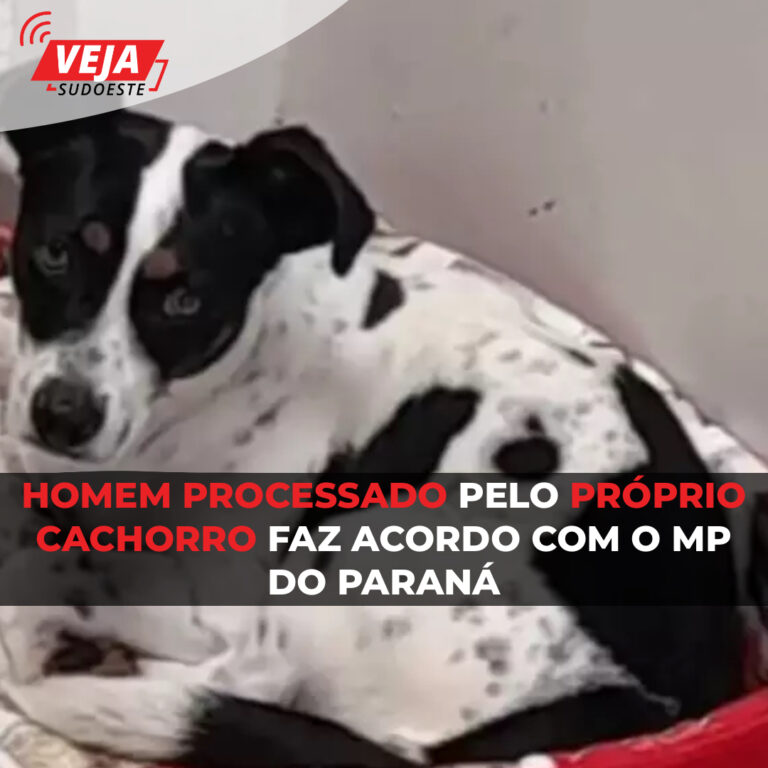 Homem processado pelo próprio cachorro faz acordo com o MP do Paraná