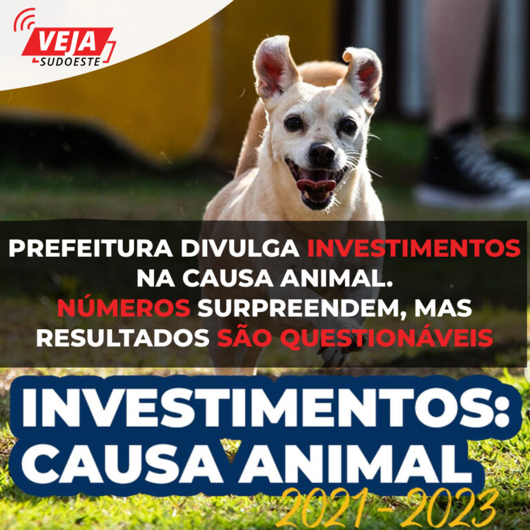Dados sobre investimento na causa animal geram questionamentos