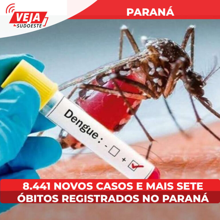 Boletim da dengue confirma 8.441 novos casos e mais sete óbitos no Paraná