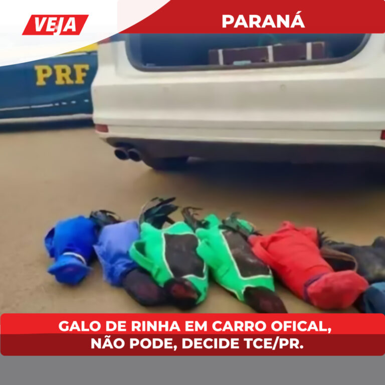 Boa Vista da Aparecida: prefeito multado por transportar galos de rinha em carro oficial