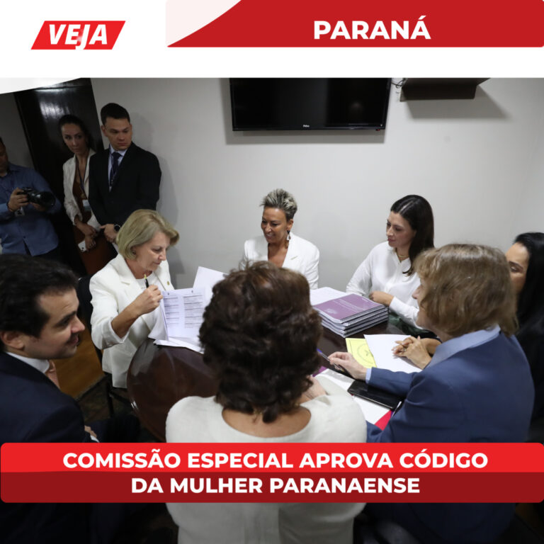 COMISSÃO ESPECIAL APROVA CÓDIGO DA MULHER PARANAENSE