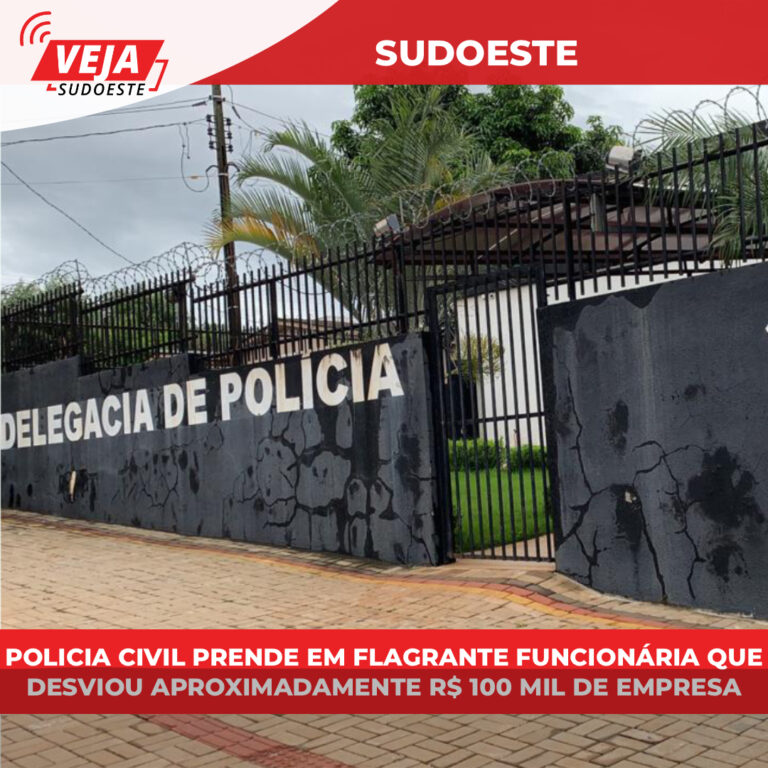 Polícia Civil prende em flagrante funcionária que desviou cerca de r$ 100 mil de empresa