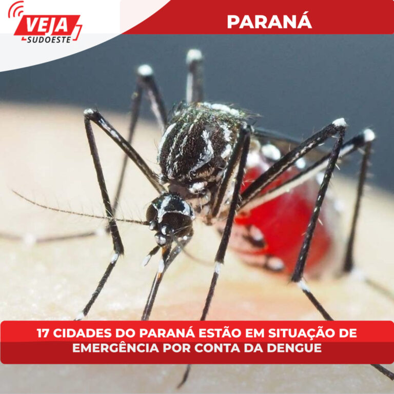 17 cidades do Paraná estão em situação de emergência por conta da dengue