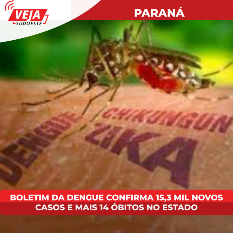 Boletim da dengue confirma 15,3 mil novos casos e mais 14 óbitos no Estado