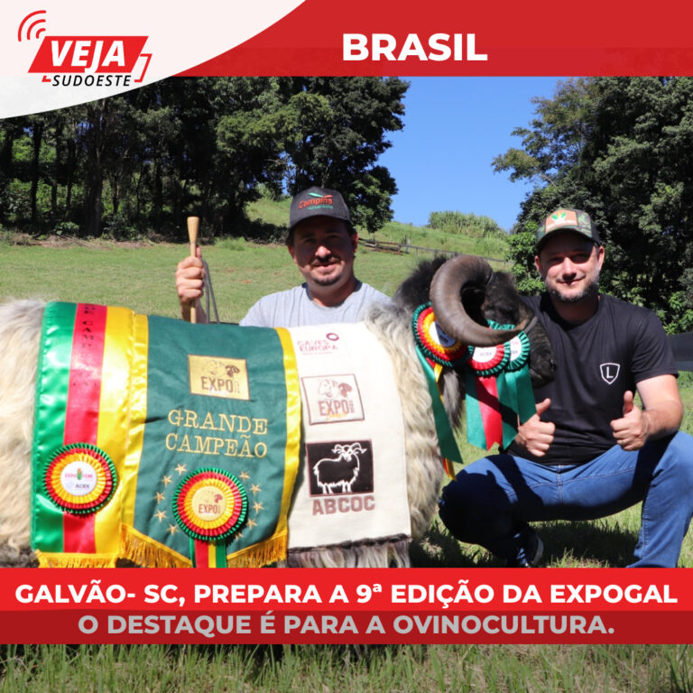 Galvão- SC, prepara a 9ª Edição da EXPOGAL o destaque é para a ovinocultura.