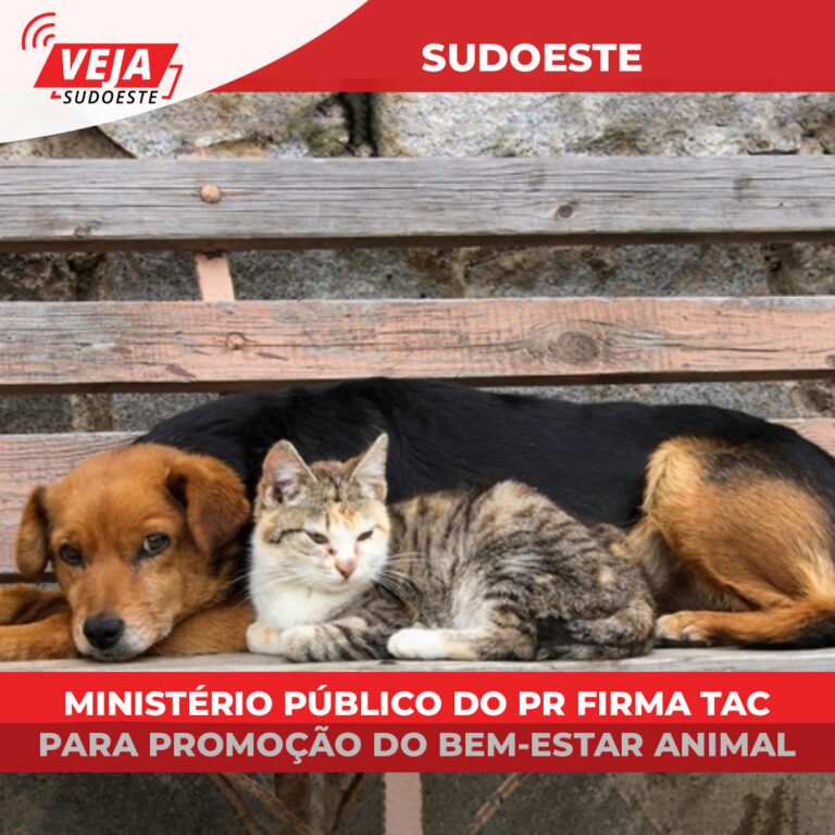 Ministério Público firma TAC para promoção do bem-estar animal