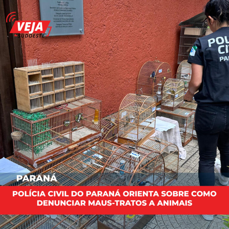 Polícia Civil do Paraná orienta sobre como denunciar maus-tratos a animais