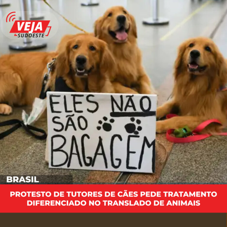 Protesto de tutores de cães pede tratamento diferenciado no translado de animais 