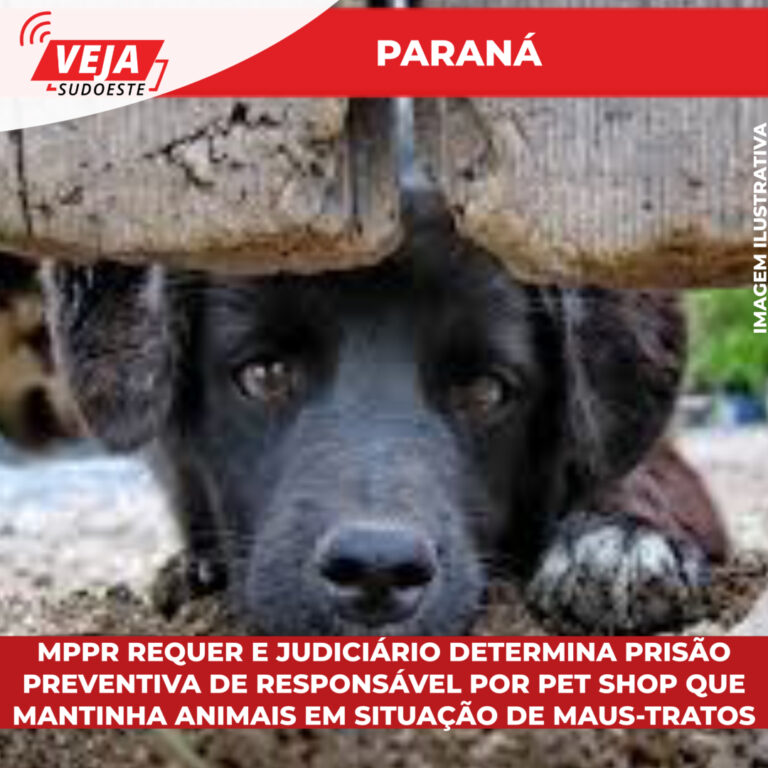 MPPR requer e Judiciário determina prisão preventiva de responsável por pet shop que mantinha Animais em situação de maus-tratos 