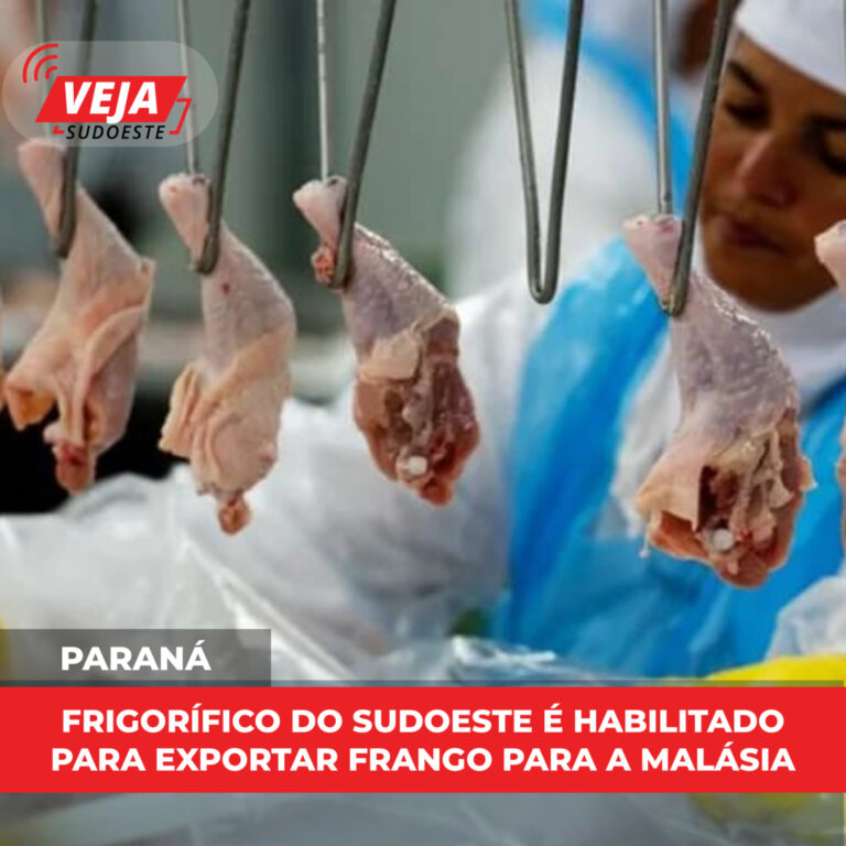 Frigorífico do Sudoeste do Paraná é habilitado para exportar frango para a Malásia