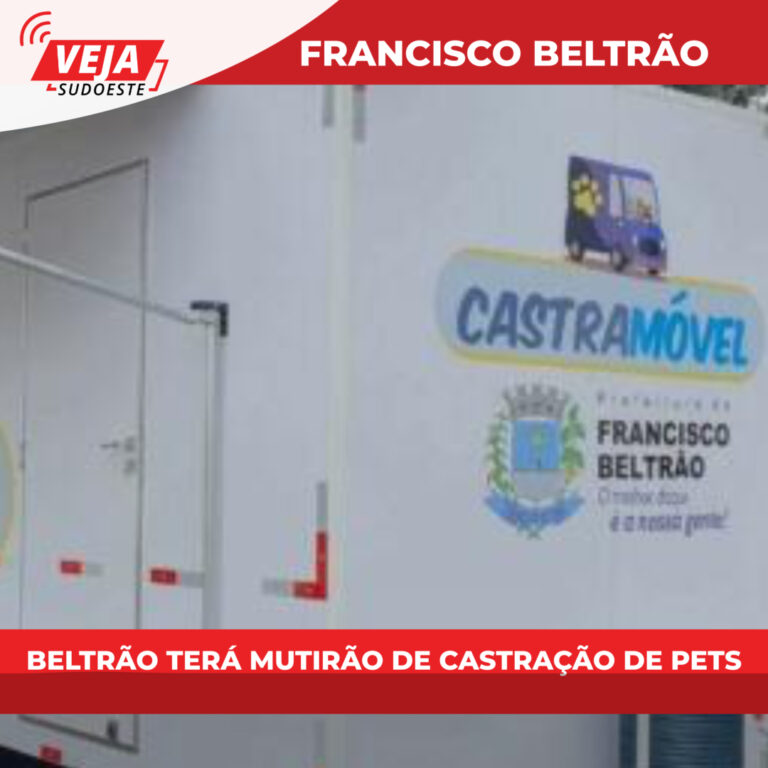 Prefeitura fará mutirão de castração de pets