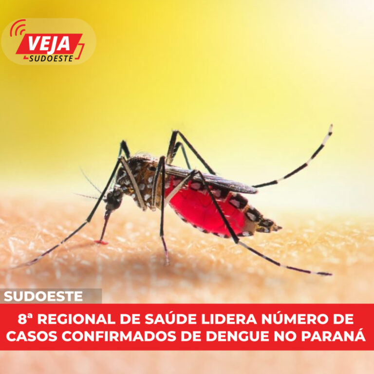 8ª Regional de Saúde lidera número de casos confirmados de dengue no Paraná
