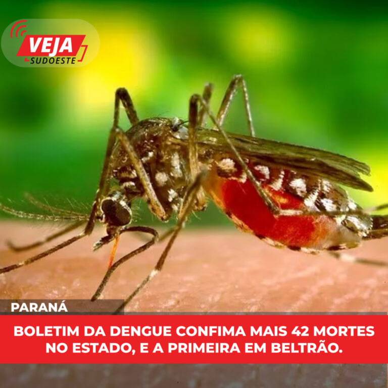 Boletim da dengue confima mais 42 mortes no estado, e a primeira em Beltrão.