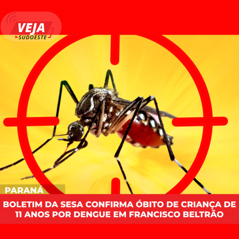 Boletim da Sesa confirma óbito de criança de 11 anos por dengue em Francisco Beltrão