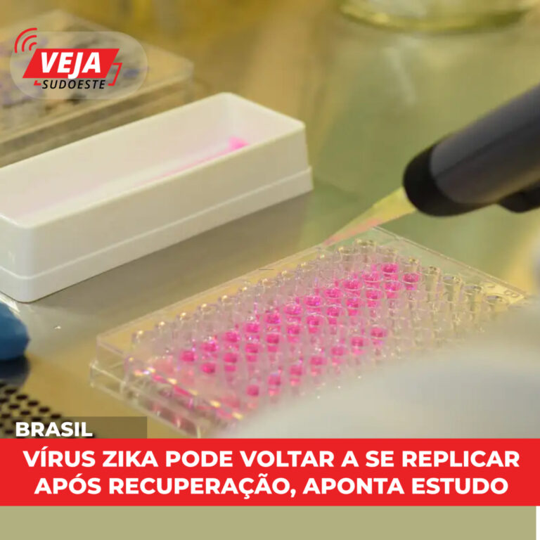 Vírus zika pode voltar a se replicar após recuperação, aponta estudo