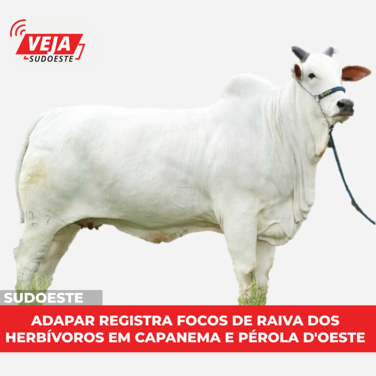 ADAPAR registra focos de raiva dos herbívoros em Capanema e Pérola D’Oeste