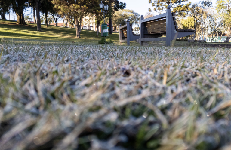 Recorde de frio: 18 cidades do Paraná registram a temperatura mais baixa do ano