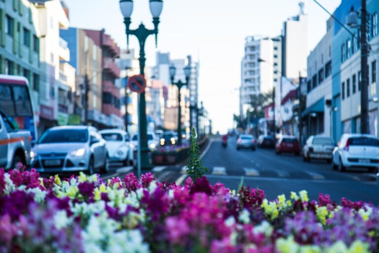 Com segurança e estrutura, Pato Branco atrai novos moradores