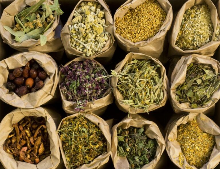 Curso sobre uso popular de plantas medicinais será nesta quarta-feira (14)