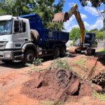 WhatsApp Image 2026-03-05 at 09.22.53 (6)