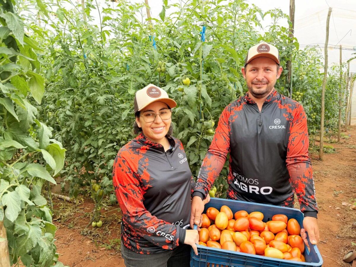 Cresol oportuniza recomeço para casal que encontrou no campo um novo caminho