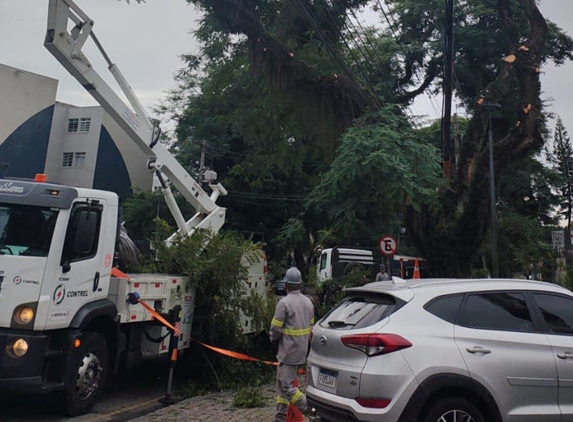 Ruas de Curitiba podem ser bloqueadas para que Copel faça poda de árvores nesta quinta
