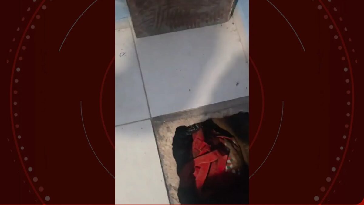 VÍDEO: polícia sente piso solto embaixo de cama e encontra drogas escondidas em fundo falso no chão de casa, no Paraná