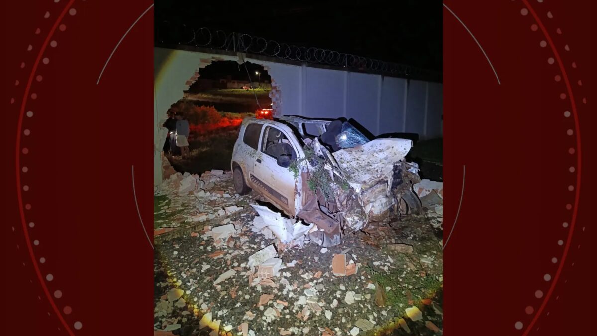 Motorista de carro morre após atropelar cavalo que invadiu rodovia e atravessar muro de subestação de energia, no Paraná
