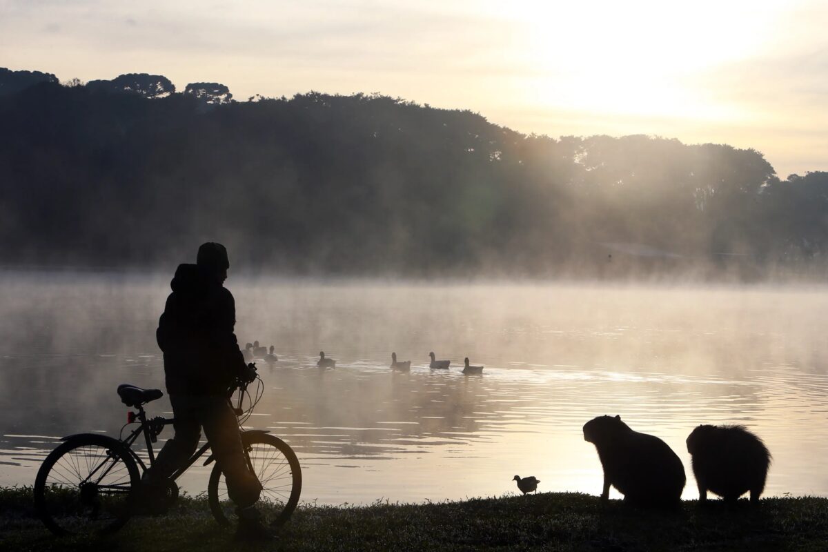Paraná recebe alerta de queda de temperatura e mínimas podem chegar a 3°C no feriado; veja onde e previsão do tempo